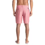 UNION PINSTRIPE AMPHIBIAN boardshort